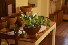 Clay Crafts - Image 10