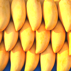 export fresh quality pakistani Mango Sindhri, Fresh Mango from Pakistan OEM ODM customization logo - Image 3