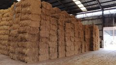 Cocofiber - Image 2