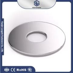 High Quality Fender Washer Carbon Steel Material Flat Gasket HDG Zinc Plated Steel Washer for Enhanced Durability and Strength R1m9NZ - Tianjin Longshi Fasteners Co., Ltd.