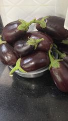 Eggplants - Image 1