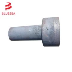 Durable Marine Forged Shafts with 40cr for Enhanced Ship Performance - Xiamen Bluesea Piping Systems Co.,Ltd.