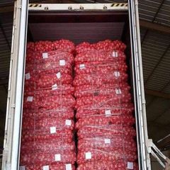 Best Quality Wholesale Cheap Price Organic Fresh Red Onion / Big Onion Newest Crop for Export - Image 1