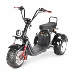 1500W, 2000W, 3000W, 5000W, Smart, Best, EEC, Mini, Self Balancing, Folding, Battery, Energy, Dual Motor Electric Scooter, Motorcycle, Harley Citycoco Supplier - CHONGQING BORIS EXP. & IMP. CO., LTD.