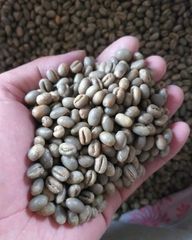 Coffe Beans Robusta From Indonesia – product photo 2, product detail gallery