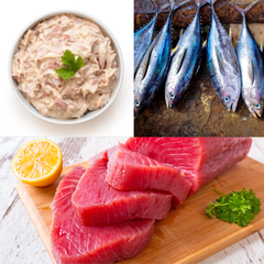 Nautilus Tuna Mayonnaise 185g.x4 Cans Canned Seafood Export Canned Fish Wholesale Best Quality from Thailand - Image 5