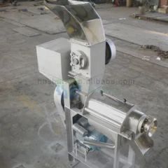 Apple Juice Extractor Machine Fruit Juicer Machine - Image 5