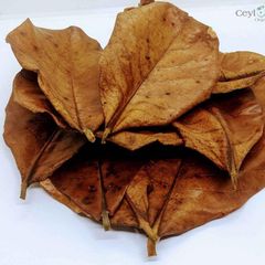 Cattapa Leaves Super Grade - Image 1