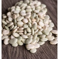 Wholesale Price Supplier of Large Lima Beans Bulk Stock With Fast Shipping - Image 3