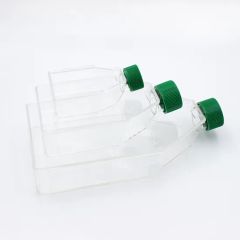 Plug 75cm2 Sterile Working Volume 25ml Cell Culture Flasks - Image 6