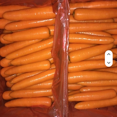 Premium Fresh Carrots All Specifications Wholesale Fresh Vegetables From - Image 2