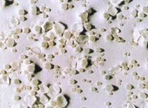 Aggregates Slip Resistance Rating Srt Over 55 Application Rate 300 To 400 Grams Per Square Meter Application Method Manual Or Preferably-automatic - Image 1