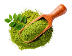 Moringa Powder - Image 2