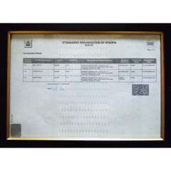 Product Certificate of Nigeria1 certificate from Wenbao Valve Co., Ltd.