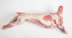 Fresh Meat - Image 2