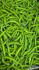 Vegetables – product photo 16, product detail gallery