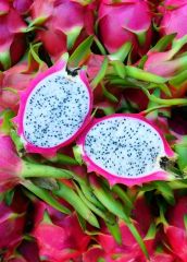  Fresh White Dragon Fruit – product photo 1, product detail gallery
