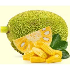 High Quality Fresh Sweet Jackfruit Delicious Tropical Fruit from Vietnam Organic Agriculture Product - Image 1