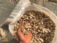 Dried Split Ginger Grade A Drying Process Sundried Flavor Profile Warm And Spicy Harvest Period 8 To 10 Months Drying Method Sun-dried Or Mechanically Dried - Image 5