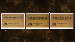 Professional Certificate certificate from Shenzhen Oya Ri New Material Technology Co., Ltd