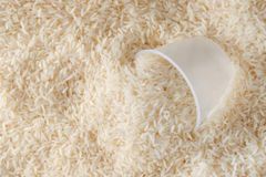 Premium Long Grain White Rice (5% Broken, Double Polished) — Bulk Export Supply - Image 1