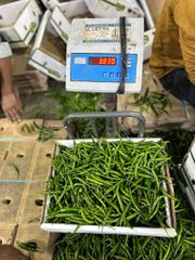 G4 Green Chilli – product photo 5, product detail gallery