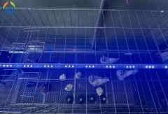 Dimmable IP67 Intelligent Poultry Farming Lighting LED Poultry Light Tube - Image 3