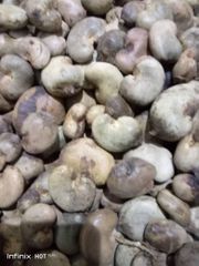 Cashew nuts - Image 1