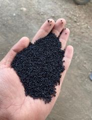 Black cumin seeds - Image 2
