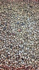 Company – thumbnail 4 of 13, supplier detail gallery
