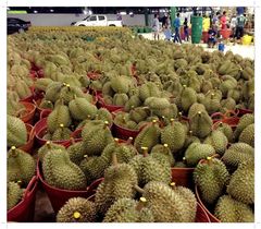 New crop 2021 - Fresh Durian from Thailand Quality A and B , Fresh Durian fruits for sale - Image 4
