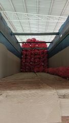 onions - Image 2