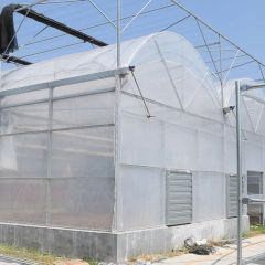 Commercial Plastic Film Greenhouse for Vegetable Span Multi Size Large Layer Single Trademark Sinok Thickness 0.15mm Location - Image 4