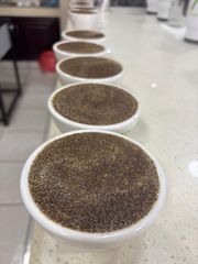 Honduras Specialty coffee Body Medium Acidity Bright Harvest Method Hand Harvested Cultivation Method Shade Grown Processing Method Fully Washed - GRUPO MEZA CONSULTORIA GESTIÓN Y SERVICIOS, S.L.L.