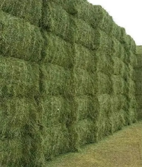 Premium Alfalfa Hay For Livestock Feed Alfalfa Hay With High Protein Content And Rich Nutrients For Healthy Animals - Image 2