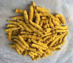 Turmeric Finger - Image 1