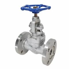 High Quality ANSI Globe Valve with Corrosion and High Temperature Resistance - Hainan Ginsenka Co., Ltd.