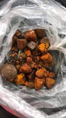 High quality cow Bezoar Gallstones for sale-Natural sourcing Quality A Size 3g-50g Color yellow Certification HACCP Shelf Life - Image 3