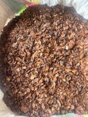 Cocoa Shells - Image 1