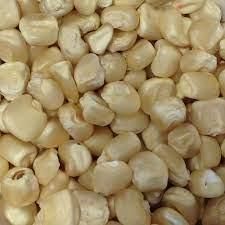 QUALITY WHITE MAIZE FOR HUMAN CONSUMPTION PLEASE KINDLY CONTACT ON WHATSAP +255762500052 - Image 6
