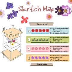 Wholesale Children's Flower Press Natural Crafts Wooden Art Kits Outdoor Learning Toys DIY Flower Press Kit - Image 5