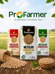 MEXICAN CHICKPEAS KABULI BAGS OF 25KGS - Image 1