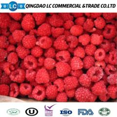 Frozen Raspberry Brokens, Frozen Raspoberries Brokens, IQF Raspberries Brokens, IQF Raspberry Brokens, Frozen Raspberry Crumbles, IQF Raspberries Crumbles - Image 5