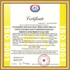 ISO 9001 certificate from Guangdong Songtao Co., Ltd.