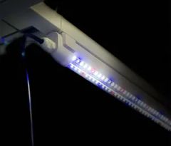Luxx T8 18W*24PCS 430W Master Controller Indenpent LED Driver Grow Rac - Image 5