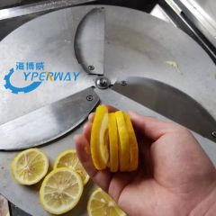 Multi-Funtional Vegetable and Fruit Cutter Vegetable Processing Machine - Image 5