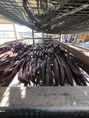 Vanilla Beans – product photo 3, product detail gallery