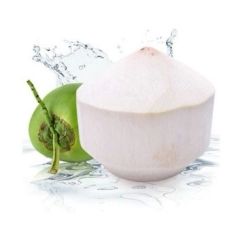 Golden Tropic Vietnamese Coconut - Image 1