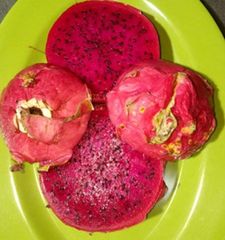 Cheap Price of Dragon Fruit From Indonesia +62811446099 Grade A Taste Sweet Style Fresh Model Number 12 Color RED - Image 2