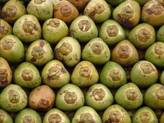 fresh coconut – product photo 3, product detail gallery